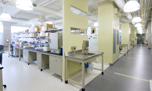 lab.png